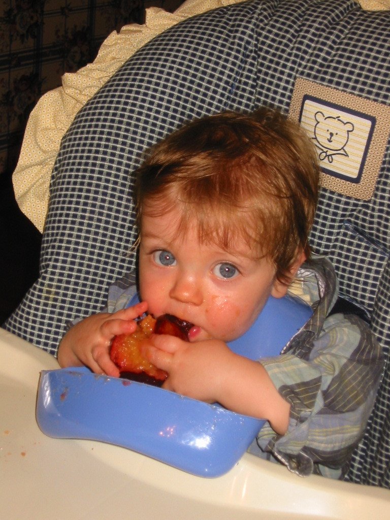 plum.JPG 194.3K