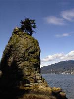 t_Stanley_Park.jpg 6.4K