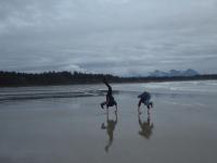 t_cartwheels.jpg 3.5K