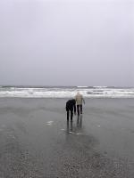 t_long_beach.jpg 3.3K