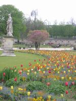t_tuileries.jpg 7.8K